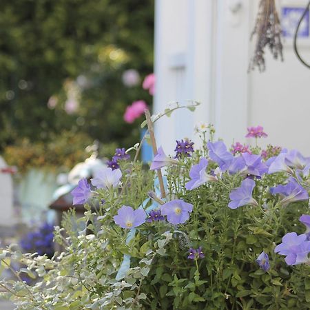 Haus Midsommer Timmendorfer Strand Buitenkant foto