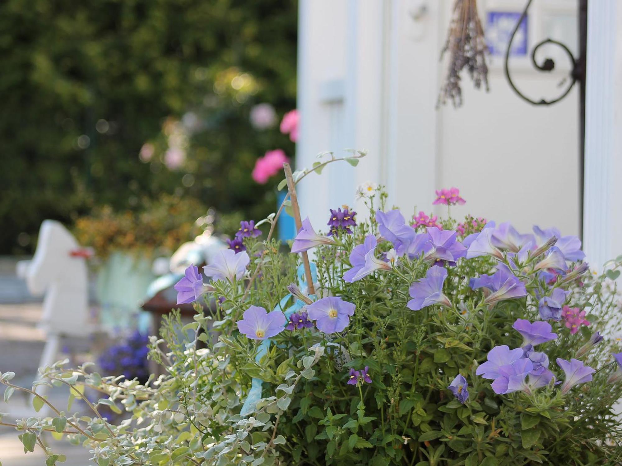 Haus Midsommer Timmendorfer Strand Kamer foto